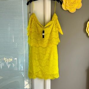 May & July lace dress